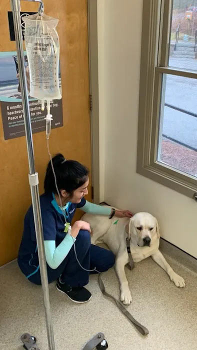 Acton Animal Hospital Picture 10