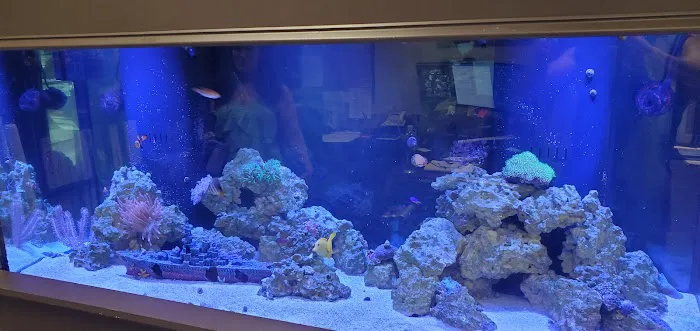 A Tropical Reef Picture 1