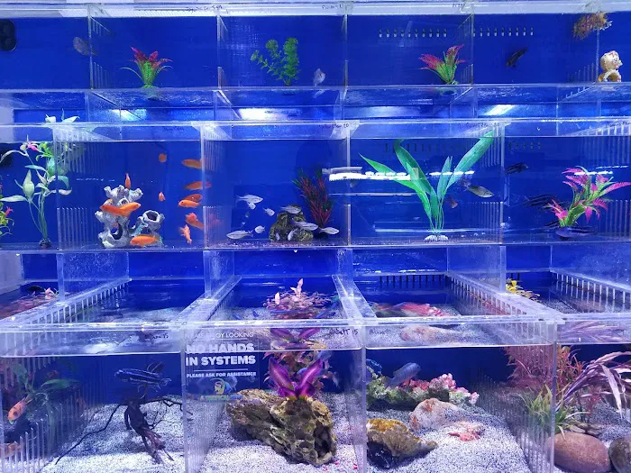 A Tropical Reef Picture 7