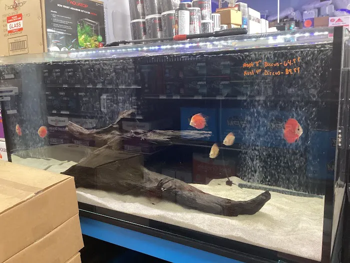 A&R Aquariums Picture 2