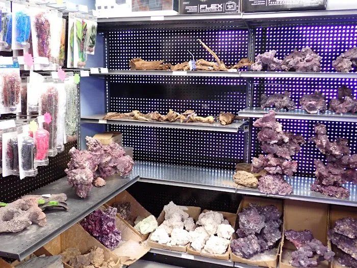 A&R Aquariums Picture 5