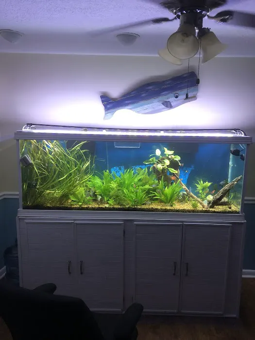 A&R Aquariums Picture 7