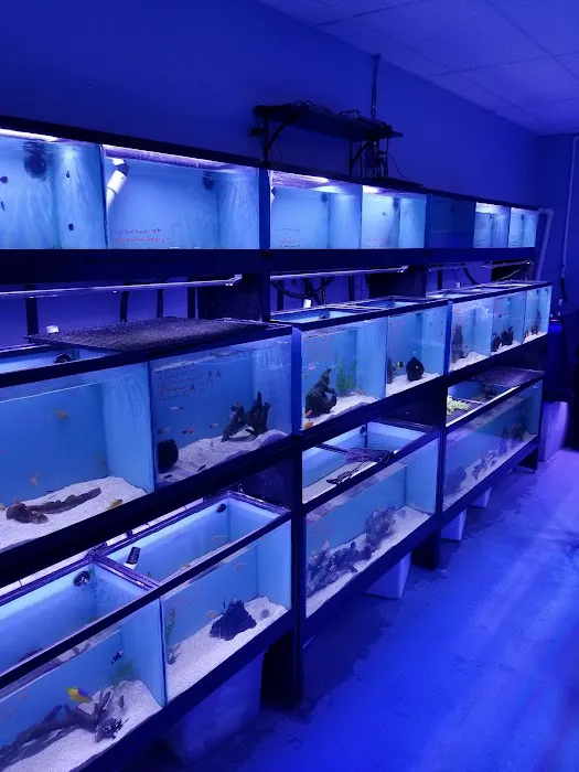 A&R Aquariums Picture 6