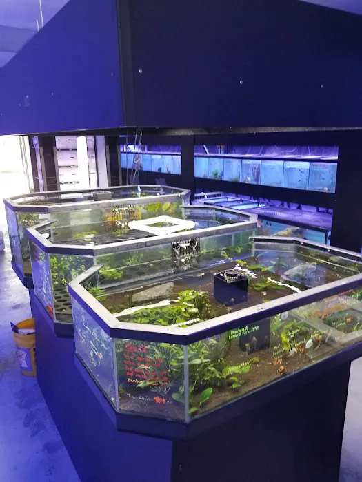 A&R Aquariums Picture 4