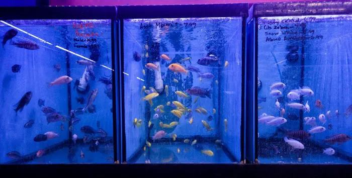 A&R Aquariums Picture 8