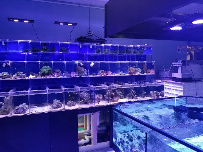 A&R Aquariums Picture 9