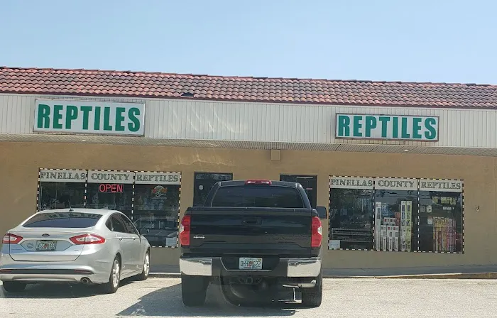 Pinellas County Reptiles Picture 2