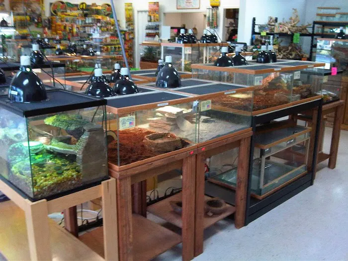 Pinellas County Reptiles Picture 8