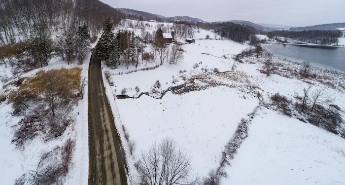 Strauss J M DVM Picture 2