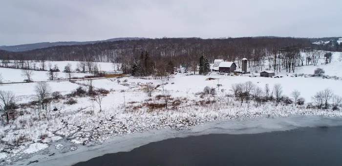 Strauss J M DVM Picture 1