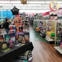 Pet Supermarket ico