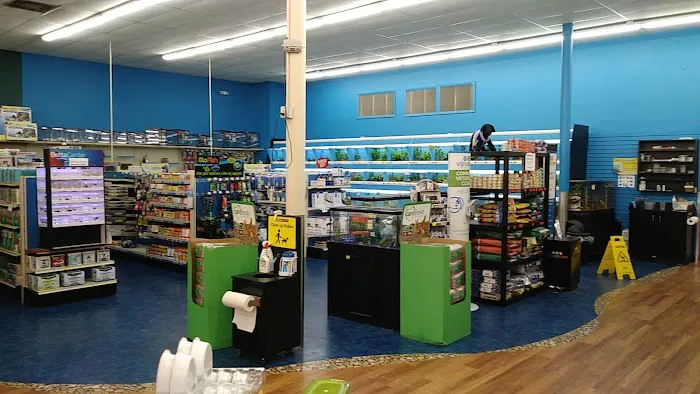 Pet Supermarket Picture 4