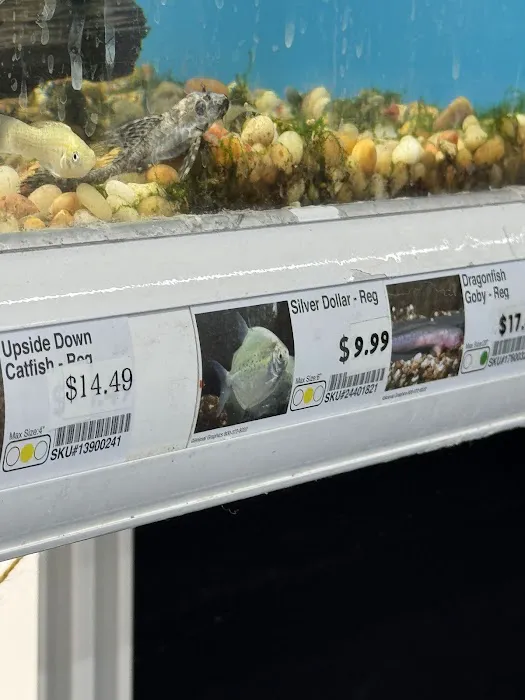 Pet Supermarket Picture 9