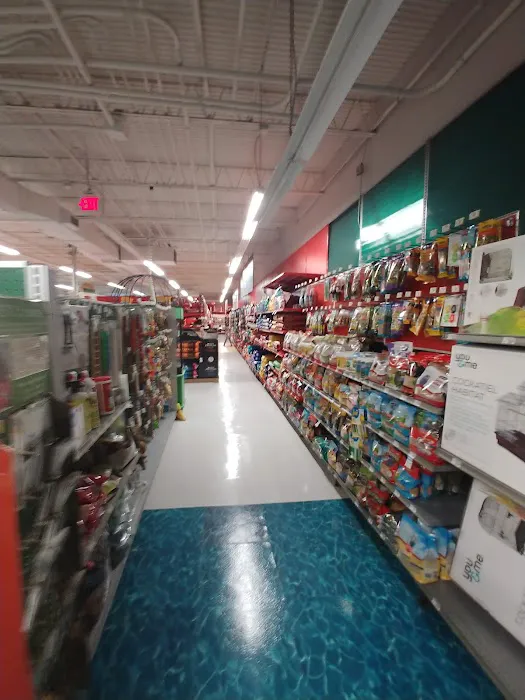 Petco Picture 4