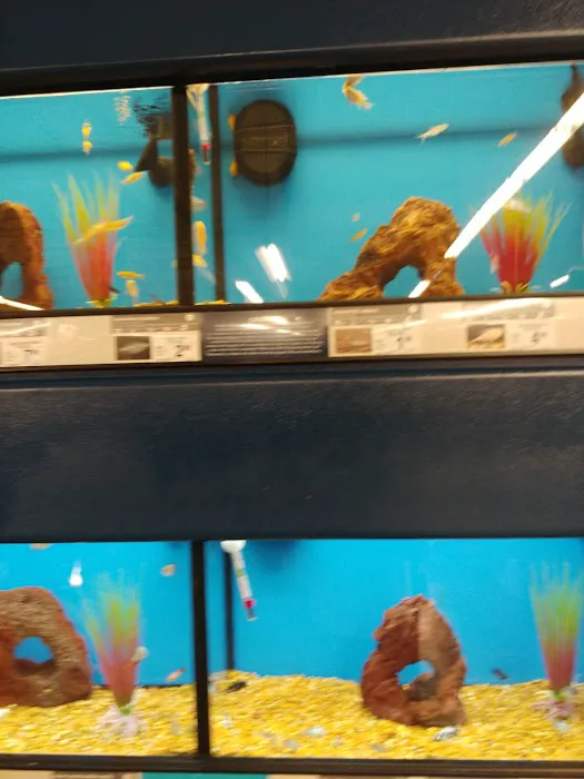 Petco Picture 8