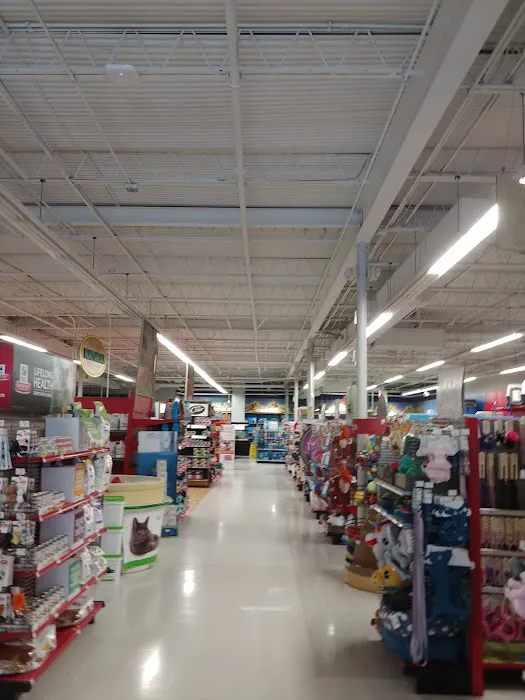 Petco Picture 10