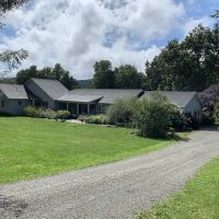 Clayton Veterinary Services ico