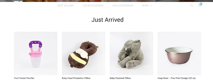 shopcashless.store Picture 3