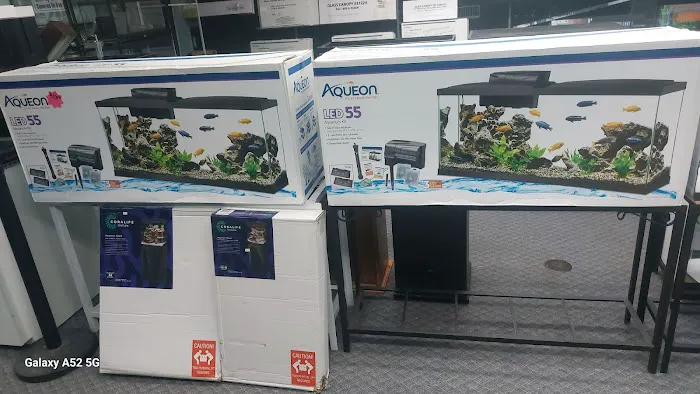 Seascape Aquarium & Pet Center Picture 1