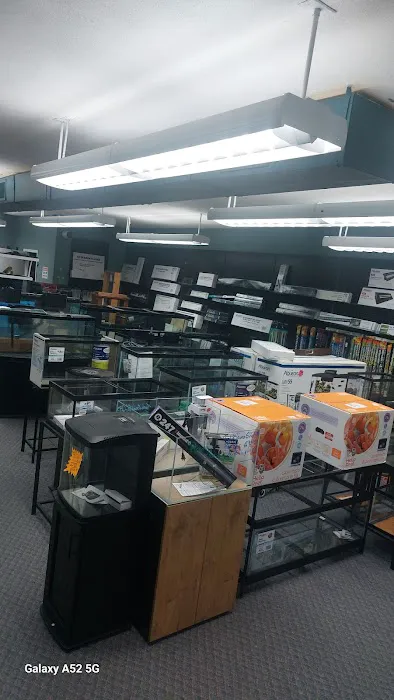 Seascape Aquarium & Pet Center Picture 4