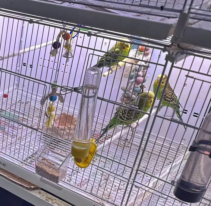 Seascape Aquarium & Pet Center Picture 3