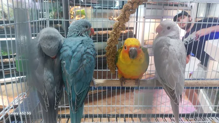 Seascape Aquarium & Pet Center Picture 8