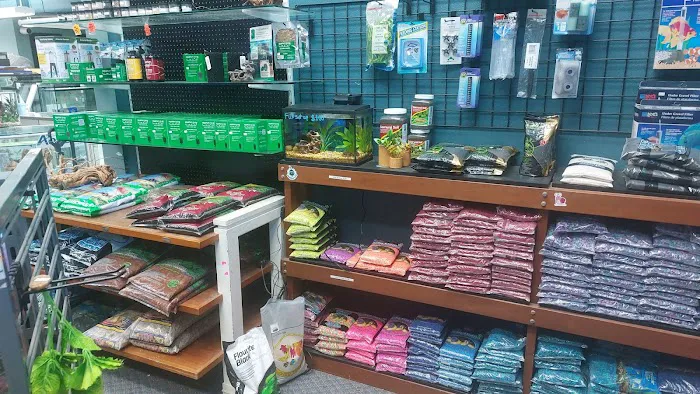 Seascape Aquarium & Pet Center Picture 9