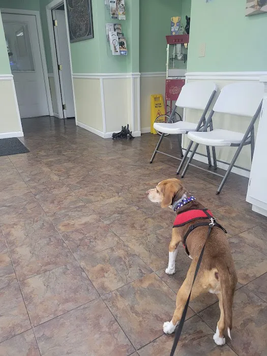 Ark Animal Hospital Picture 1