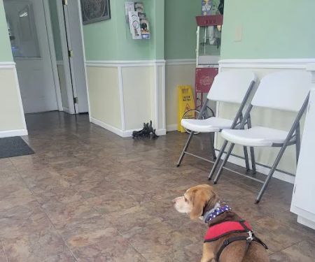 Ark Animal Hospital
