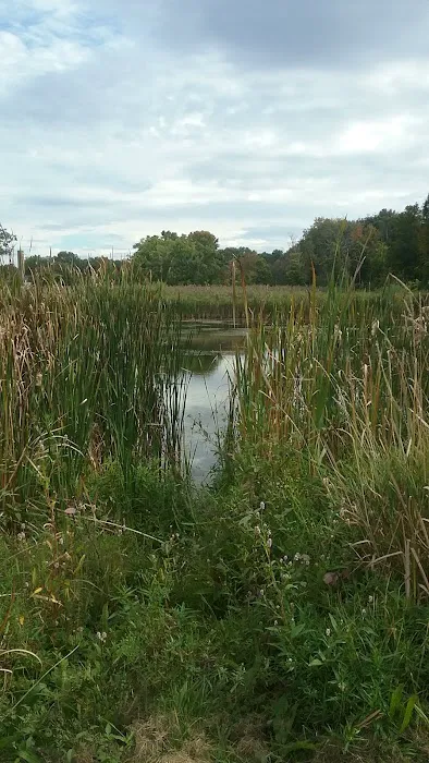 Ark Animal Hospital Picture 5