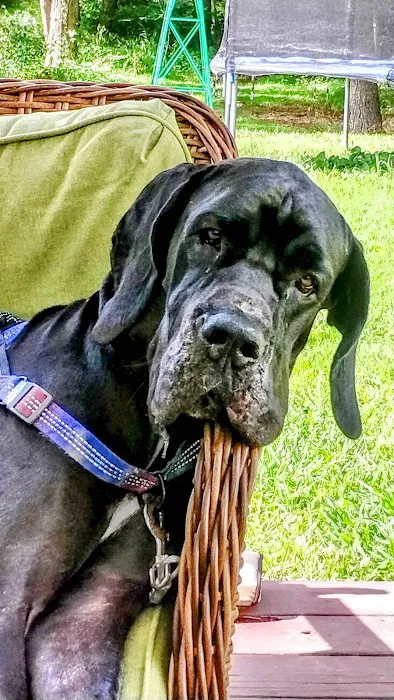 Ark Animal Hospital Picture 4