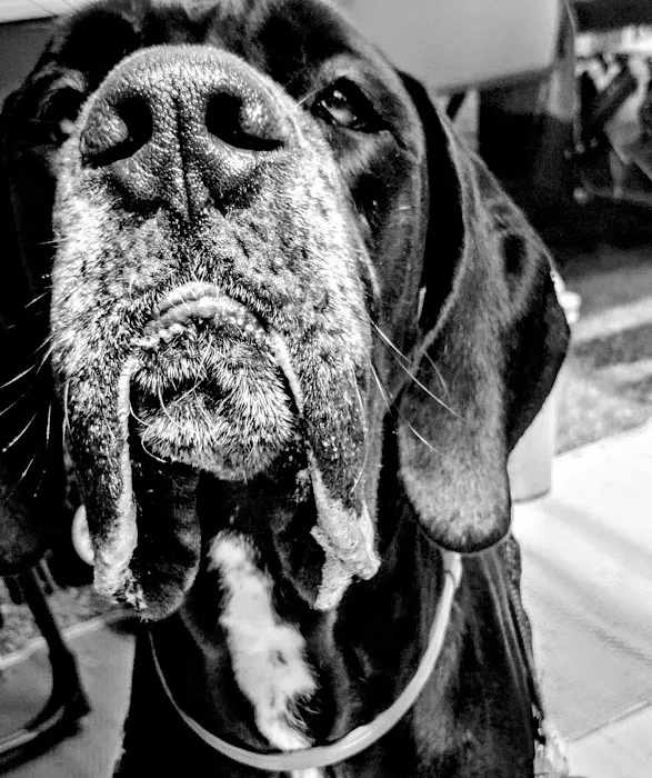 Ark Animal Hospital Picture 10