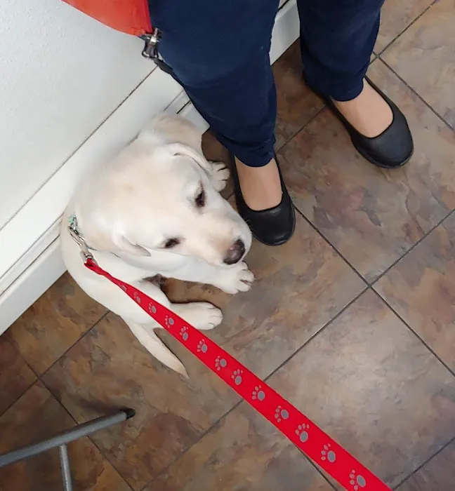 Ark Animal Hospital Picture 8