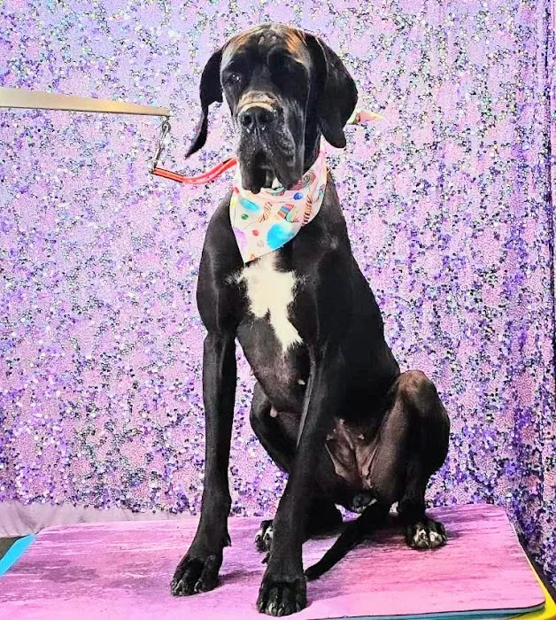 Ark Animal Hospital Picture 7