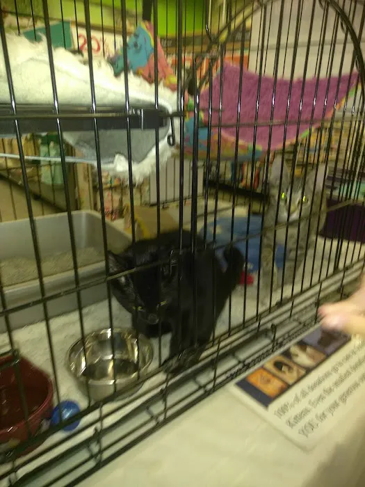 Petco Picture 7