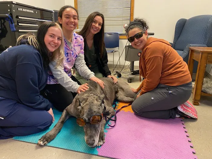 Catskill Veterinary Services, PLLC Picture 1