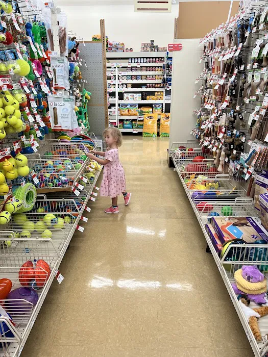 Pet Supplies Plus Clearwater Picture 1