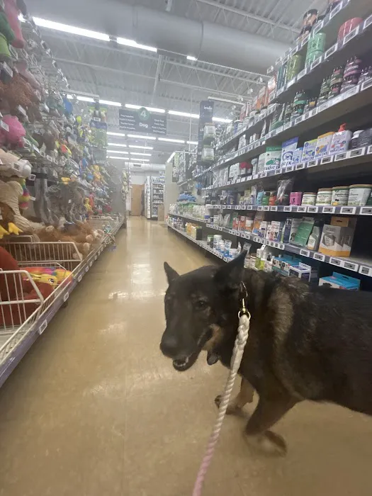 Pet Supplies Plus Clearwater Picture 2