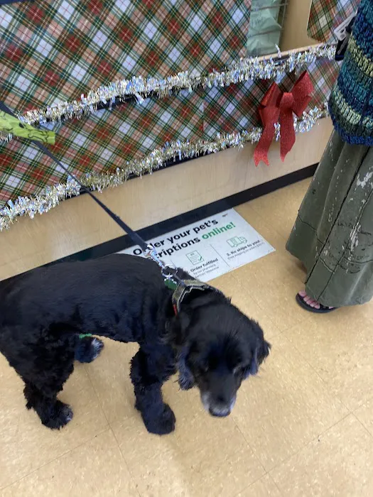 Pet Supplies Plus Clearwater Picture 3