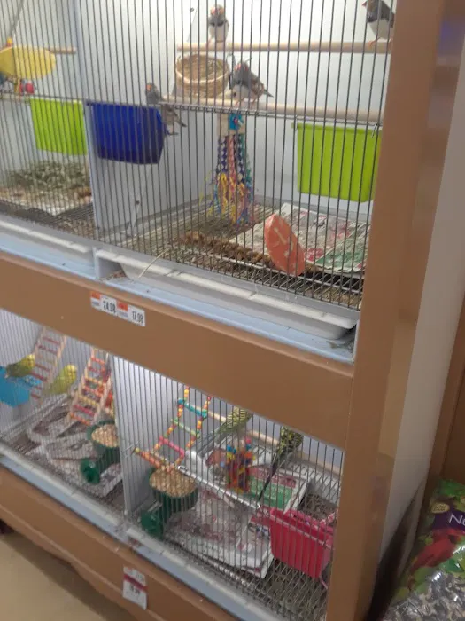 Pet Supplies Plus Clearwater Picture 6