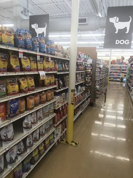 Pet Supplies Plus Clearwater Picture 8