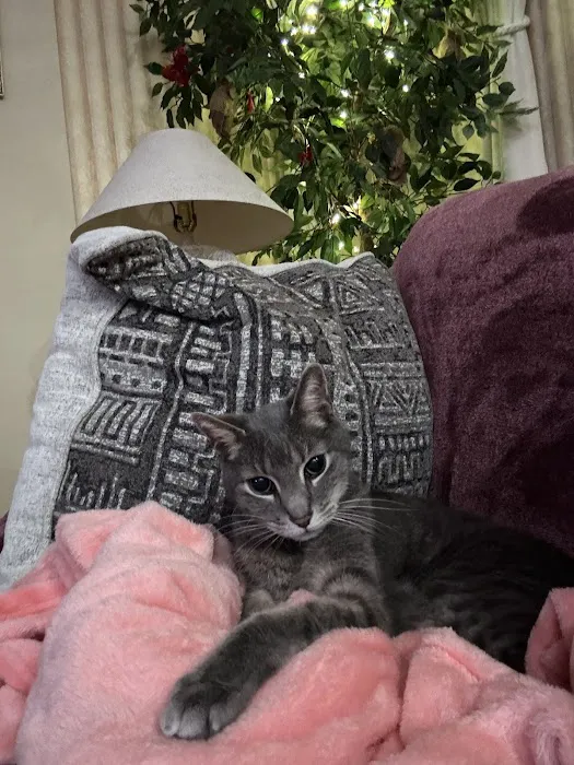 Pet Supplies Plus Clearwater Picture 7