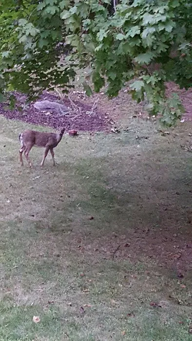 Stone Ridge Veterinary Clinic Picture 2