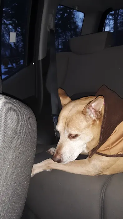 Stone Ridge Veterinary Clinic Picture 1