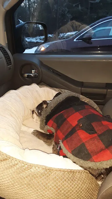 Stone Ridge Veterinary Clinic Picture 3