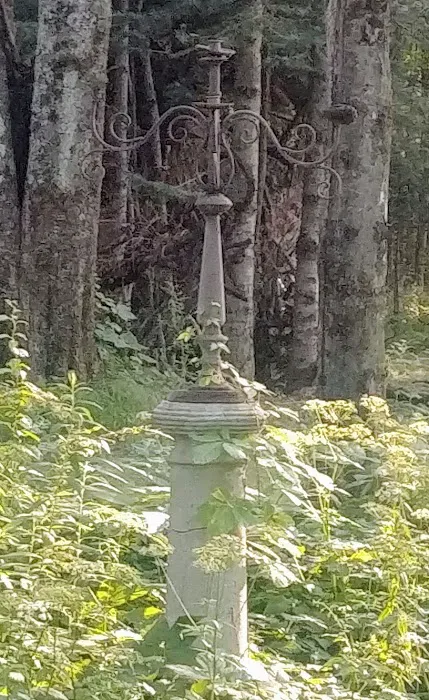 Stone Ridge Veterinary Clinic Picture 4