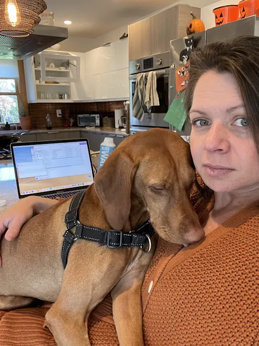 Marbletown Animal Hospital Picture 9