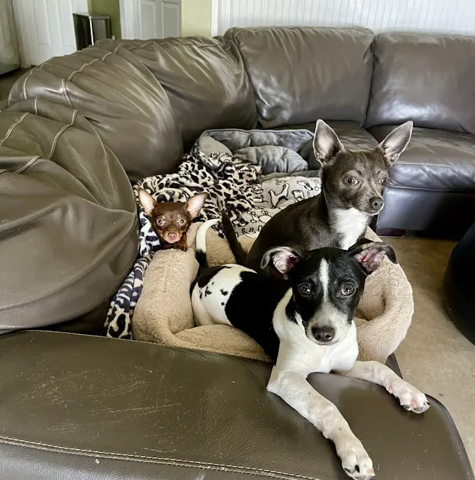 Marbletown Animal Hospital Picture 5