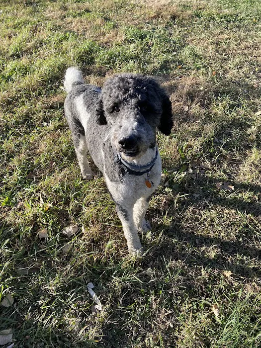 Marbletown Animal Hospital Picture 10