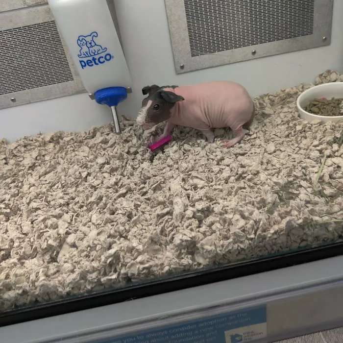 Petco Picture 6